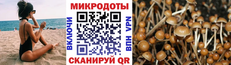 Псилоцибиновые грибы мухоморы  Байкальск 